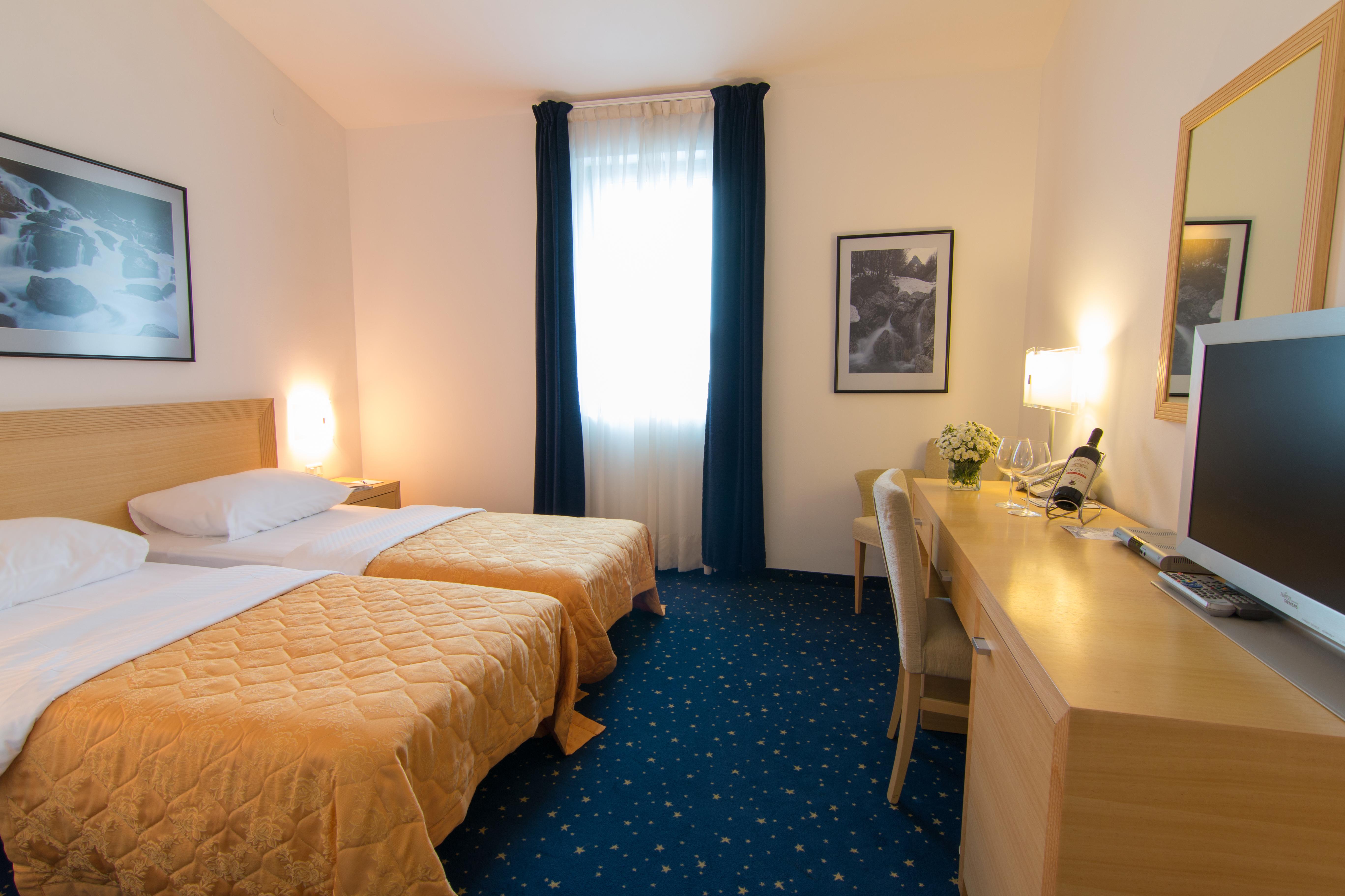 Superior Double or Twin Room